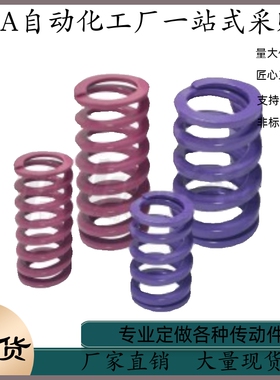 矩形弹簧 YTY-D21-L75 L80 L90 L100 L125 L150 L175 L200 L300