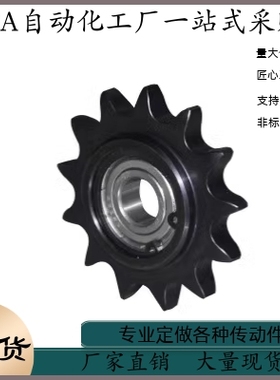 链轮惰轮 DRC80-9 10 11-15 17 20