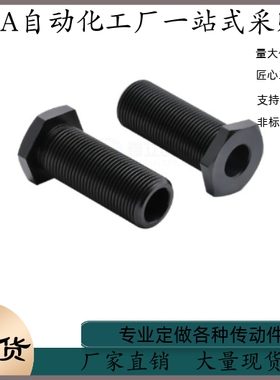 调整螺栓 PAX41-M8 M10 M12 M16 M20 M24 M30-L5 L10 L15 L20 L25