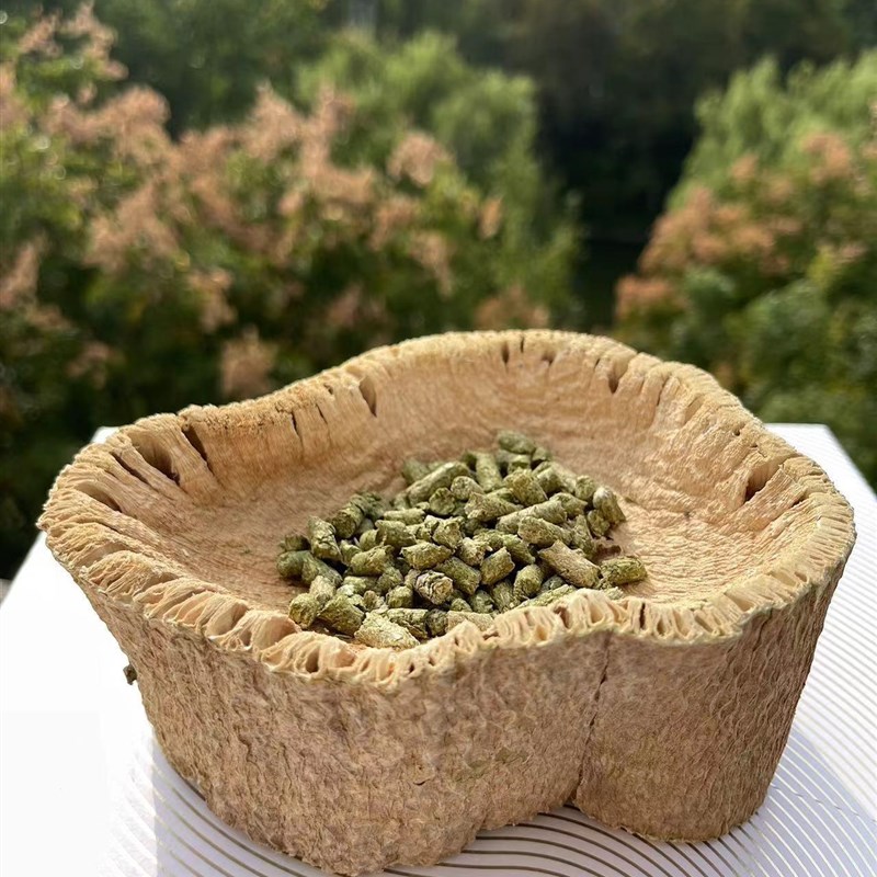 速发木瓜树碗树桩树圈食盆小宠磨牙洁齿放心啃咬解闷玩具清香耐啃