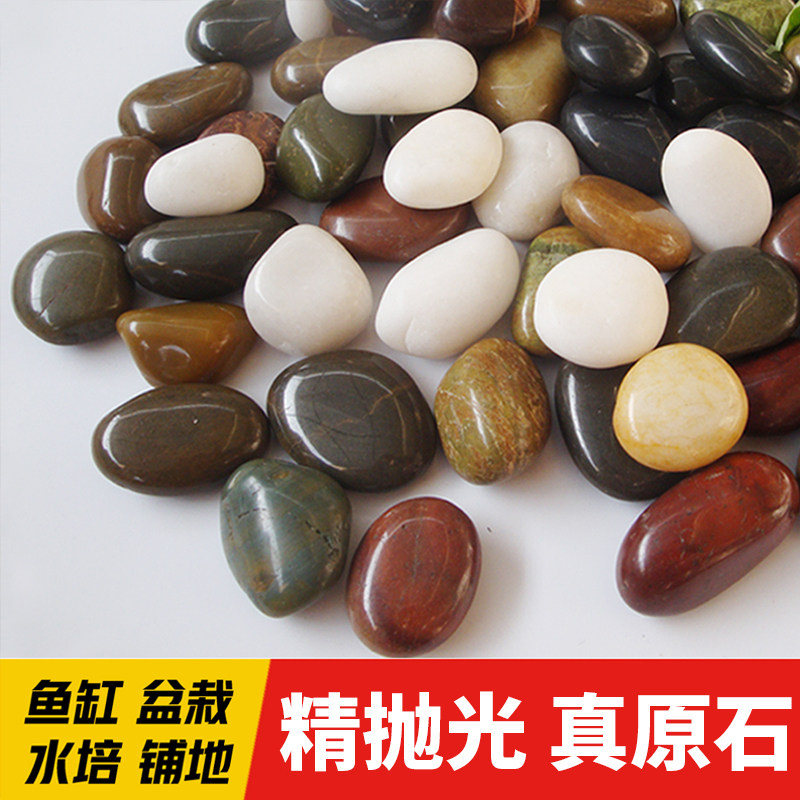速发鹅卵石养花雨花石原石鱼缸花盆鹅软石庭院装饰园艺五彩小石头