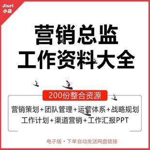 营销总监管理运营渠道业绩战略规划工作总结汇报PPT方案模板资料