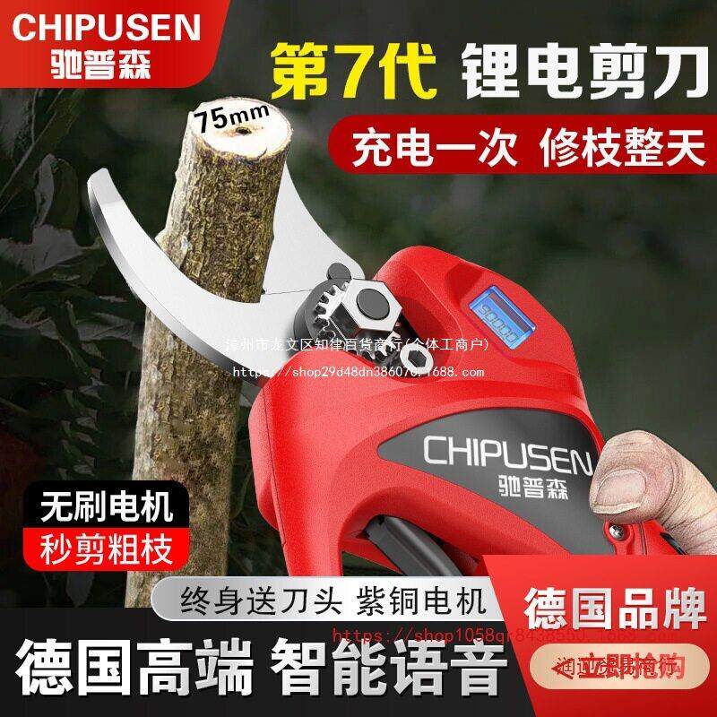 电动修枝剪果树粗枝剪刀园林园艺充电式无线锂供应链跨境工厂图片