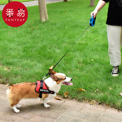 牵引绳A1P201-自动伸缩遛狗绳猫咪泰迪博美柯基中小型宠物牵引绳