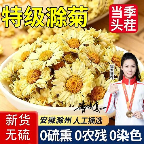 特级滁菊花茶无惧火气熬夜常备