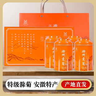 菊花茶滁州贡菊黄菊头采花茶2025新茶特级正品养生茶送礼高端礼盒