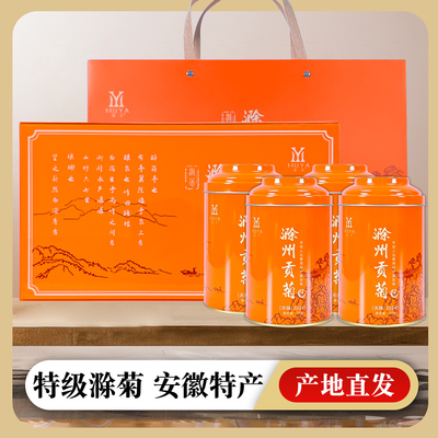 菊花茶滁州贡菊黄菊头采花茶2025新茶特级正品养生茶送礼高端礼盒