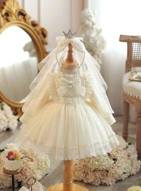 Plush Pleated Dress with Fluffy Yarn Princess Dress for