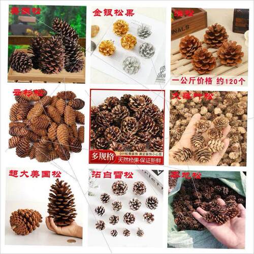 Larch Christmas decoration pinecone dried flowers DIY