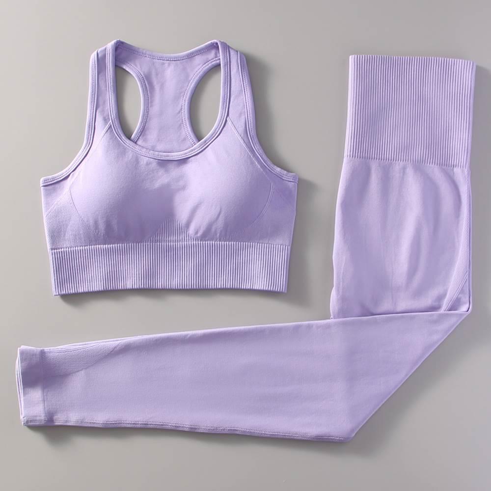 NEW Yoga Set Seamless Gym Sets Women Gradient Fitness Sports