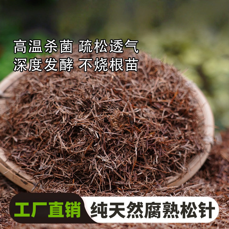 纯松针腐殖土发酵腐熟君子兰土松育苗/栽培基质