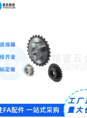 链轮SP40B19/20-N-12 14 15 16 17 18 19 20 22 24 25 28 30 3540