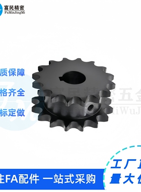 双排链轮 SP50SD12 13 14 15 16-S/N-18 20 25 28 30 35 40