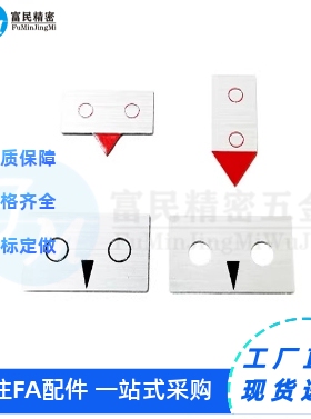指示尺刻度尺 PPS12 PPSP12 PPL20 PPLP20 非标定做