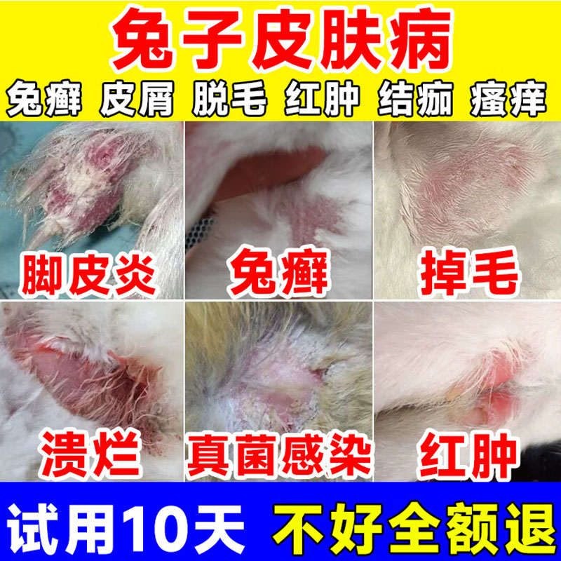 宠物兔子皮肤病兔癣真菌感染瘙痒耳朵掉毛溃烂眼睛周围发炎专用药