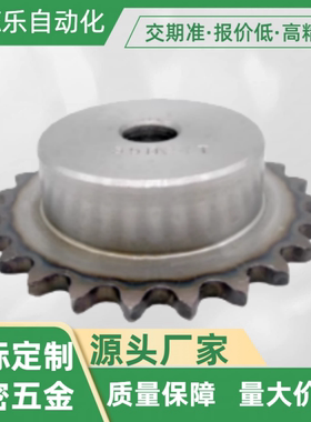 链轮条 35B/ SP35B35-N-20/22/SP35B35-N-24/25/28/SP35B35-N-30