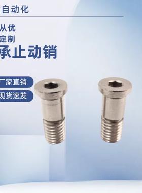 BGP BGPM 6 8 10-9 11 13 14 17-L20 L25 L30 L40 L50轴承止动销