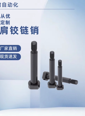 SHCLBM HCLBM6 8 10 12 15 20 25-15 20 25 30内螺纹 带肩铰链销