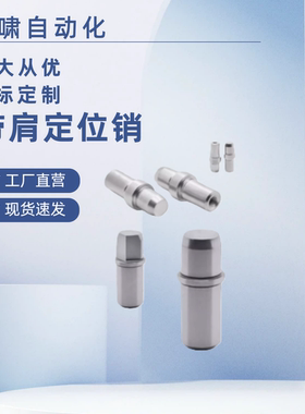 JPJB SJPJB JPDJ2 3 4 5 6 8 10 12 13 16 20-P-B-L带肩定位销