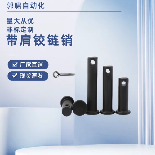 HCMG MIB01 MIB11  HCLGN3 4 8 12-10 12 18 30带肩铰链销 开口销