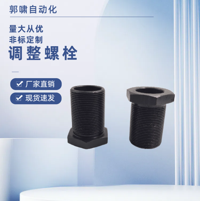 空心螺丝 调整螺栓 PAX31/LVFB8 10 12- 5 10 15 20 25 30 40 50