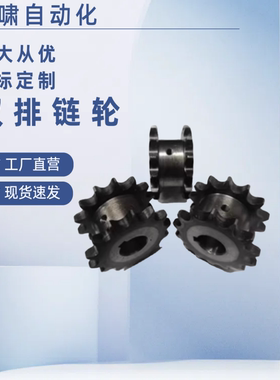 50B双排链轮SP50SD12-N-18/20  SP50SD13/SP50SD14-N-20 25 28 30