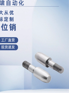 YBJ01 02 06 11 21 22 26 31 35 41 42 46D-P小头圆锥定位销