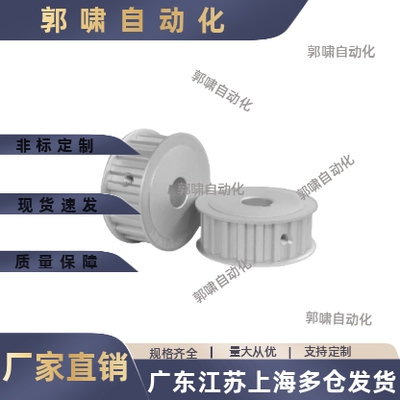 EBF01/21/41-40- HTPA40S3M060/100/150-A-B-P6 81012 14同步带轮