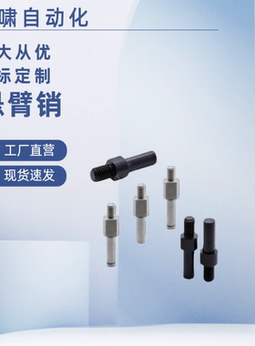 MDD01/0211/12/16/02/06/11/12/16-MDF-Y-F外螺纹带挡圈槽悬臂销