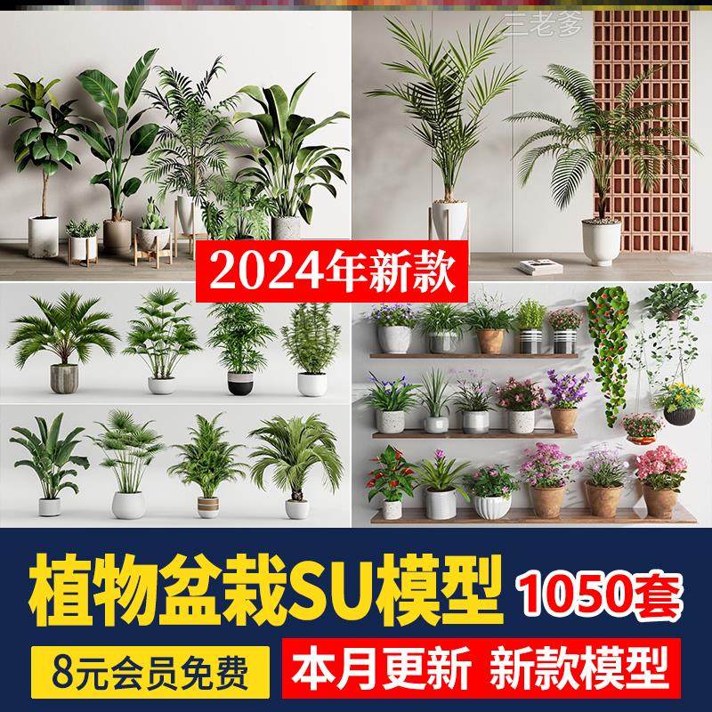 绿植植物花盆盆栽盆景松树单体草图大师SU模型室内花卉花草素材库