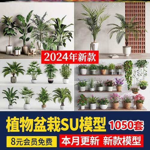 绿植植物花盆盆栽盆景松树单体草图大师SU模型室内花卉花草素材库