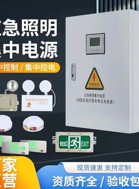A型应急照明集中电源箱DC36V24V疏散指示灯应急灯 智能模块控制器