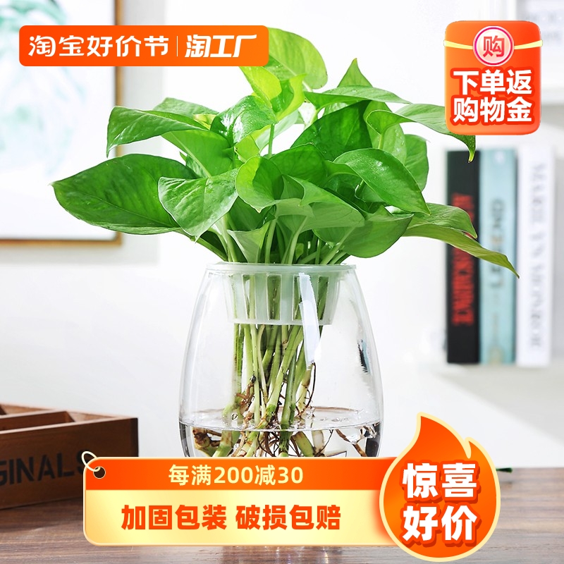 创意透明玻璃欧式花瓶桌面水培绿萝观音竹花瓶鱼缸容器摆件