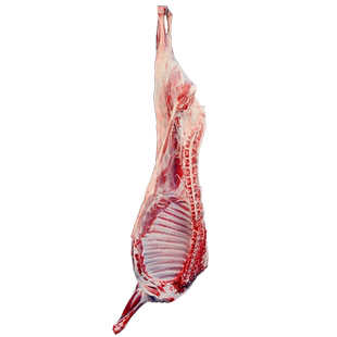 羊肉新鲜现杀正宗宁夏滩羊整半只全羊盐滩羊排羊腿肉散养年货礼盒