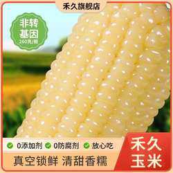 【禾久】河北张家口白糯玉米200g*10根