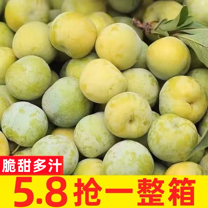 现摘青脆李5斤新鲜水果孕妇空心李脱骨李贵州江安李四川李子包邮