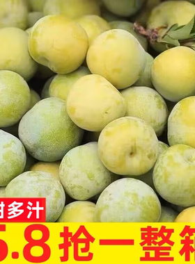 现摘青脆李5斤新鲜水果孕妇空心李脱骨李贵州江安李四川李子包邮