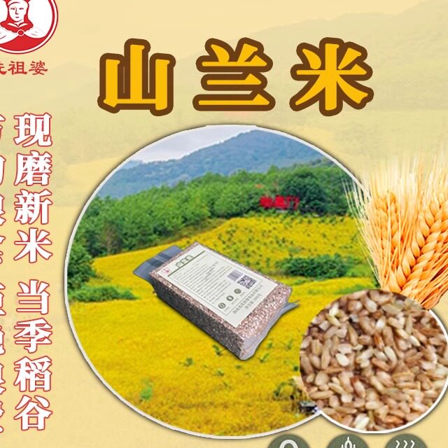 海南冼祖婆山兰米一斤特色大米/高纤维/粗粮孕妇儿童营养膳食