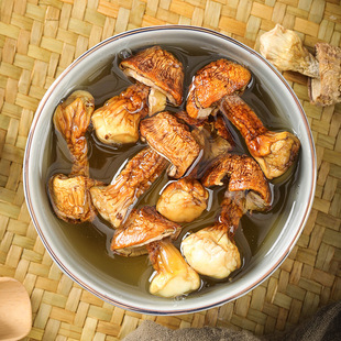 福建新鲜姬松茸滋补新鲜味煲汤天然商用蘑菇菌菇汤料包包组合干货