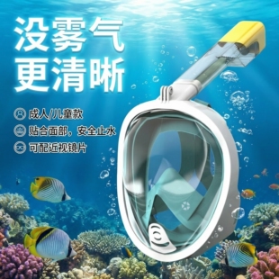 法国GVSEDUN成人儿童潜水面罩全脸可呼吸浮潜视游泳装 备水下泳镜
