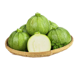 圆形西葫芦种子苗绿皮嫩瓜高产耐热盆栽西胡芦种籽蔬菜蔬莱瓜孑