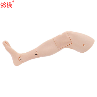 懿模胫骨穿刺训练模块训练器材