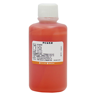 ZSGB-BIO/中杉金桥 ZLI-9613-500ml 伊红染色液