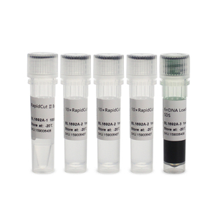 Biosharp/白鲨 BL1692A RapidCut Ⅱ BamHI 快速限制性内切酶