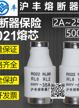 熔断器RL96 RL6-63 R022 500V 63A 50A 40A 35A 30A陶瓷保险熔芯