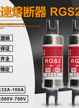 燎原保险RGS2 32A 40A 50A 63A 70A 75A 80A 100A 500V快速熔断器