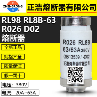 40A 16A熔断器芯 RL8B 20A 25A 32A 50A 63A R026 正浩保险D02