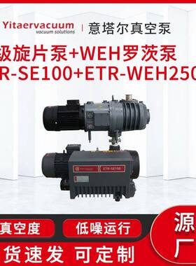 供应级旋片泵+WEH罗茨泵\ETR-SE100+ETR-WEH250真空泵定制厂家