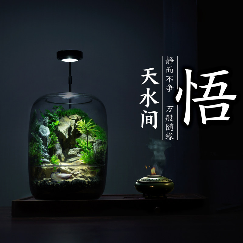 丘辰微景观定制伴手礼送情侣客户
