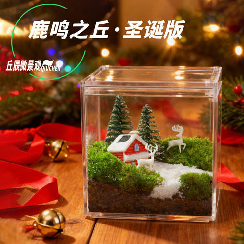 丘辰苔藓微景观生态瓶办公室内绿植桌面造景创意摆件生日圣诞礼物